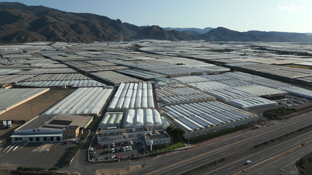 Syngenta El Ejido|Medium res image-Syngenta Group - HQ - Basel - Switzerland (1)|Centro I+D El Ejido